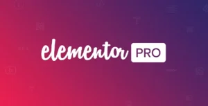 Elementor Pro