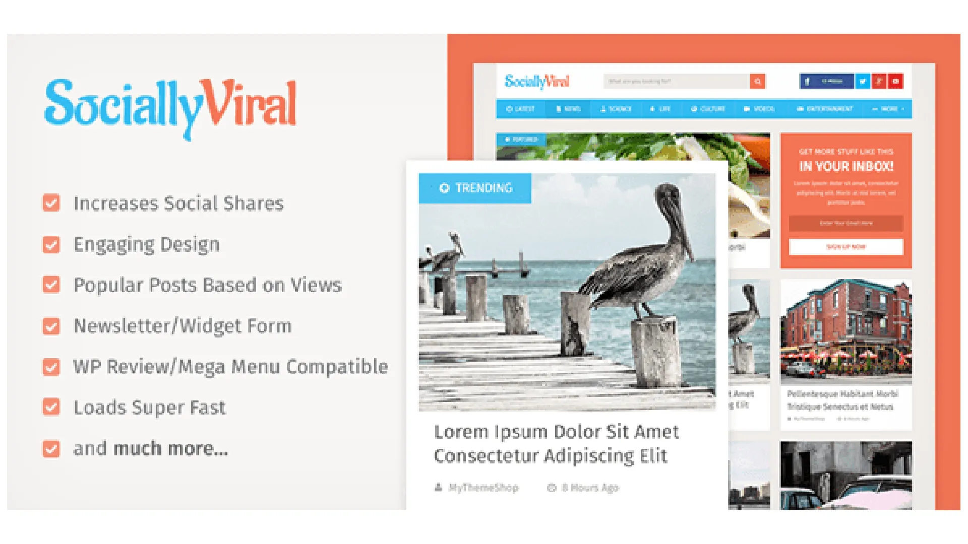 SociallyViral – Viral WordPress Blog Theme